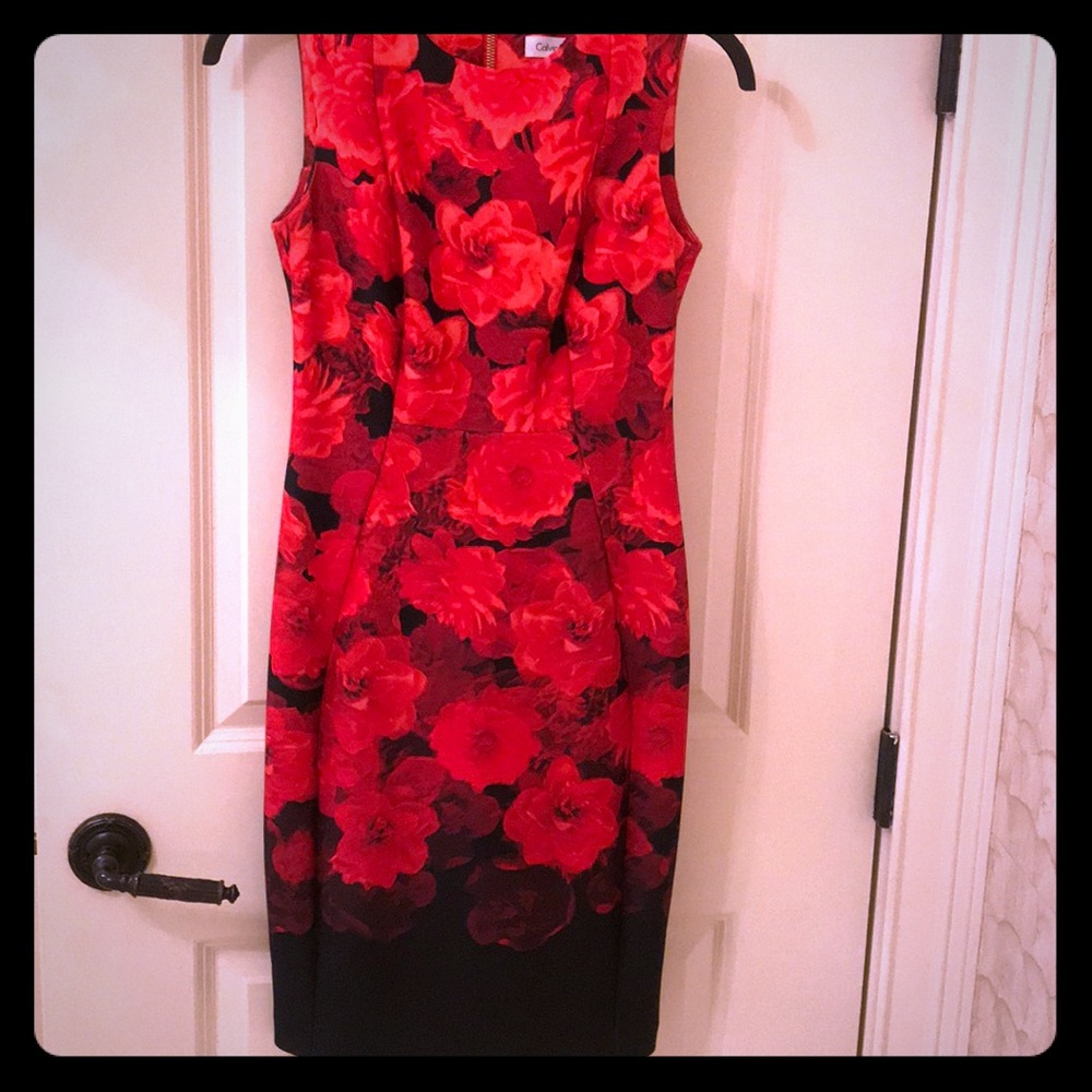 NWT Calvin Klein Red Roses scuba dress